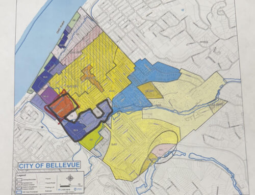 Medical cannabis zoning returns to Bellevue City Council