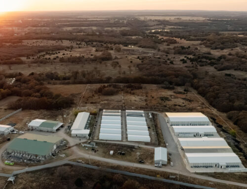 Behind Oklahoma Cannabis Farms, New Yorkers With Ties to Beijing