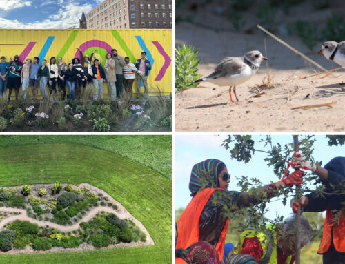 Readers Share Eco-Friendly Projects Happening In Their Communities