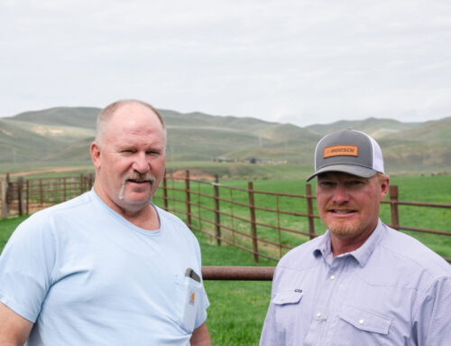 Ranchers hoping solar can lower costs say utilities and the state stand in their way