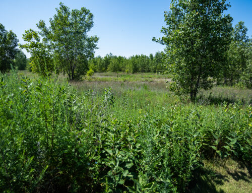 Quantum Developers’ Environmental Cleanup Plans For Old South Works Steel Site Approved By