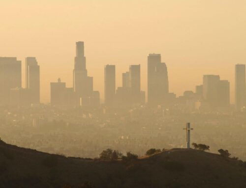 Rethinking How The Environment Affects Student Performance