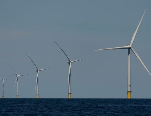 The Trump administration pauses wind projects off New England, New York and Virginia