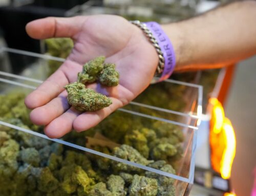 What Trump’s reclassification of pot and CBD could mean for seniors, research and stocks