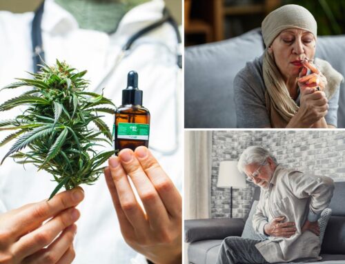 Bombshell cannabis study reveals hidden risks of medical pot that may…