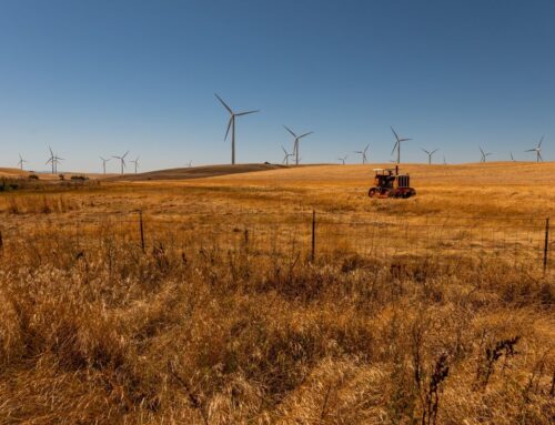 Trump Ban on Wind Energy Projects Ruled Illegal by US Judge