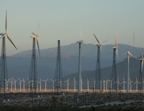 Green Stocks Are Big Winners as Tech Boom Drives Energy Demand