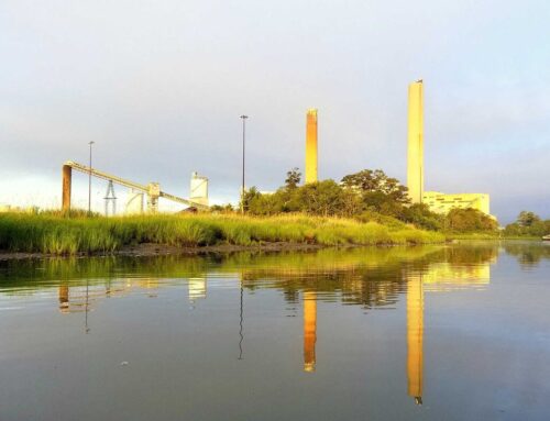 Nuclear and Fossil Fuels Join Forces to Undermine Renewables