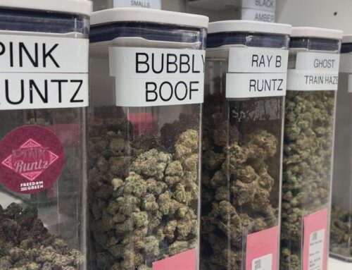 Michigan businesses brace for change after Trump signs executive order to reclassify marij