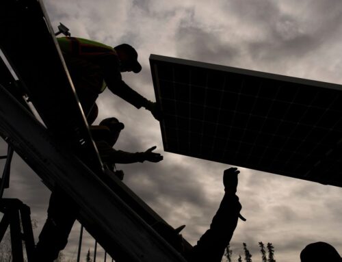 Trump’s return brought stiff headwinds for clean energy. So why are advocates optimistic i