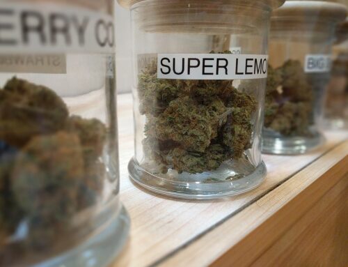 Albuquerque cannabis business owner welcomes Trump order on marijuana