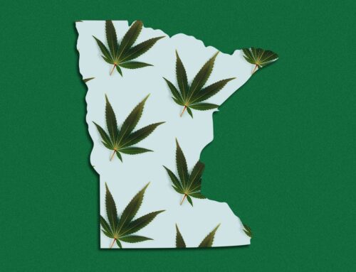 The rush is on to open marijuana dispensaries in Minnesota