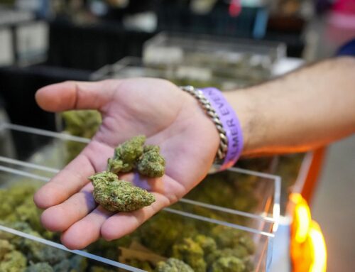 Trump signals marijuana pivot. Here’s how federal and state cannabis laws work