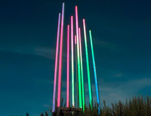 Glowing and producing energy since the 80s — ‘Solar Intersections’ makes photosynthesis an