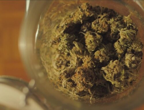 New York updates cannabis marketing regulations