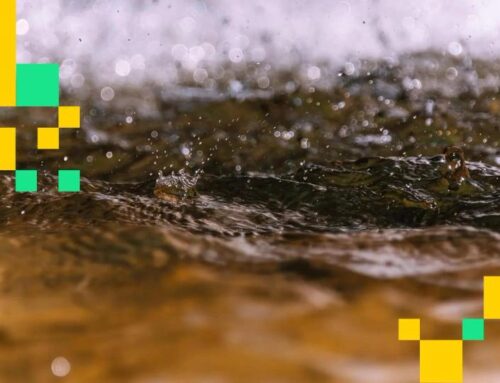 Bitcoin (BTC), Crypto News: $500 million lost to liquidations in latest plunge