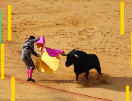 Miner capitulation is a contrarian signal, indicates renewed BTC price momentum, VanEck sa