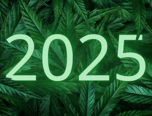 2025 Top Ten Events in Marijuana Policy