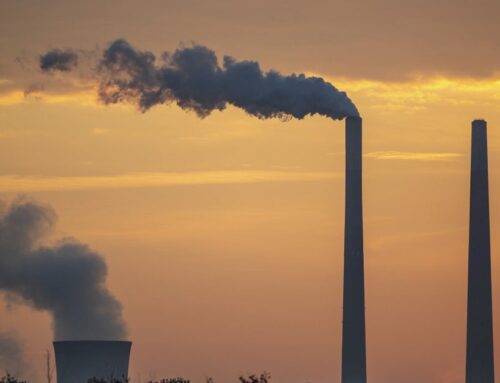 Politicians have to stand up for human rights and the environment