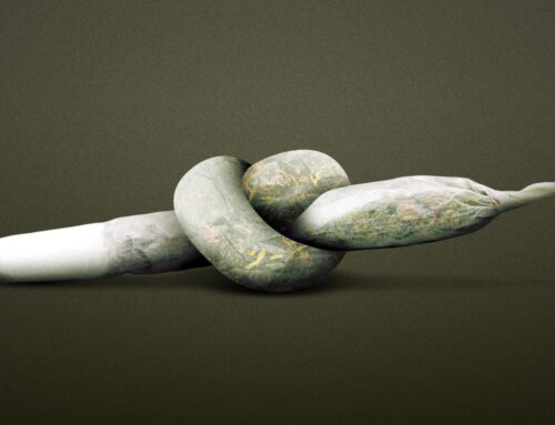 Mass. vote on legal pot lounges becomes a waiting game