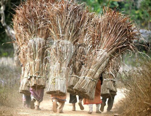 The dismal state of India’s environment