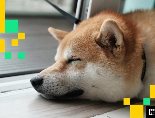 DOGE, SHIB Price News: Dogecoin and Shiba Inu Drop Lower as Ethereum Loses Appeal