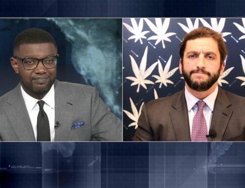 Video Cannabis industry reacts to executive order easing marijuana restrictions