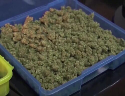 Video President Trump signs executive order to ease cannabis restrictions