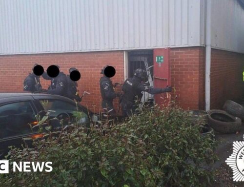 West Murcia Police raid Stourport cannabis farm