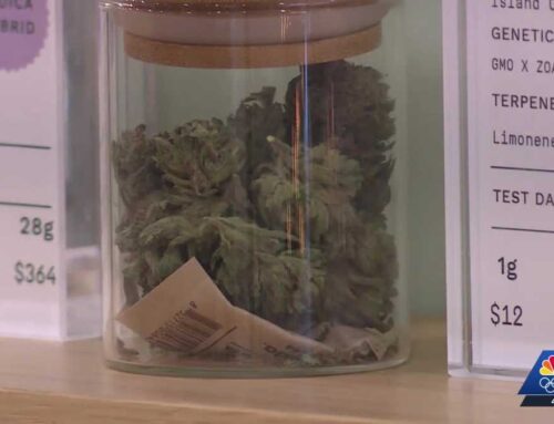 Trump signs order to reclassify cannabis. How it could impact Vermont and New York