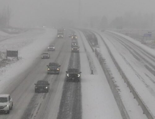 Environment Canada issues snow squall warning with 10 to 20 cm expected