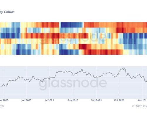 Large bitcoin holders have been the main buyers in the $80,000 range