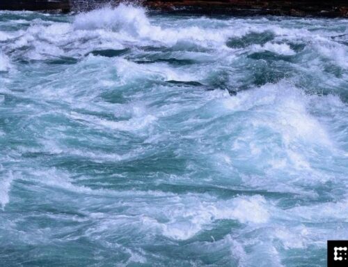 Volatility in Ripple-Linked XRP and solana was twice as bumpy as bitcoin’s in 2025