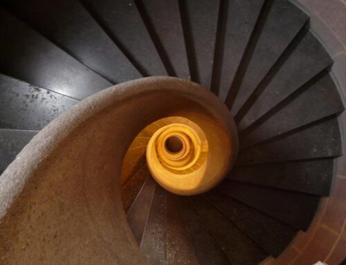 BTC, XRP, ETH, ADA Price News: Bitcoin to $10,000 in 2026? It’s Possible