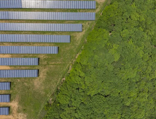 Farmers stunned by unexpected impacts of new solar and wind farm projects: ‘Everything els