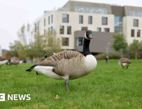 Northampton university keeps environmental accolade for 10 years