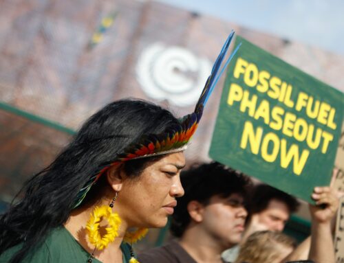 Renewable energy boomed in 2025, but so did fossil fuels