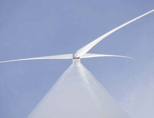 U.S. judge rules Trump administration’s freeze on wind energy permits is unlawful