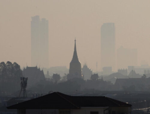 Thai year of environmental upheaval