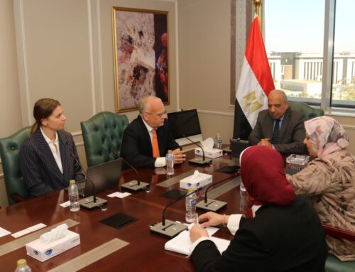 Egypt, Sweden’s Linxon discuss renewable energy development