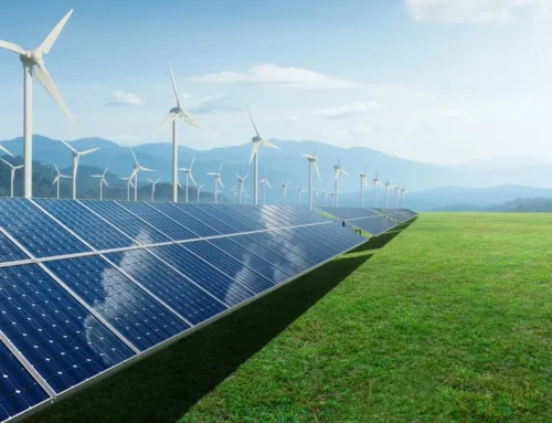 Renewable Energy Day