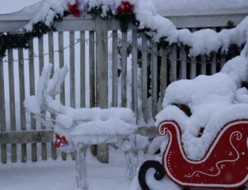 Weather alerts issued across much of Canada as winter approaches