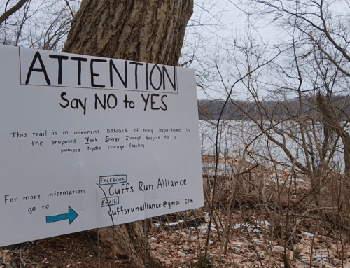 Environmental groups urge feds to rescind study permit for hydroelectric project on Susque