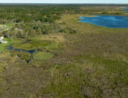 Could these Louisiana wetlands lose protection under new federal rule? Here are the risks.