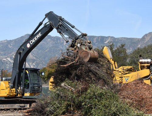 How and where to recycle your Christmas tree in Ventura County