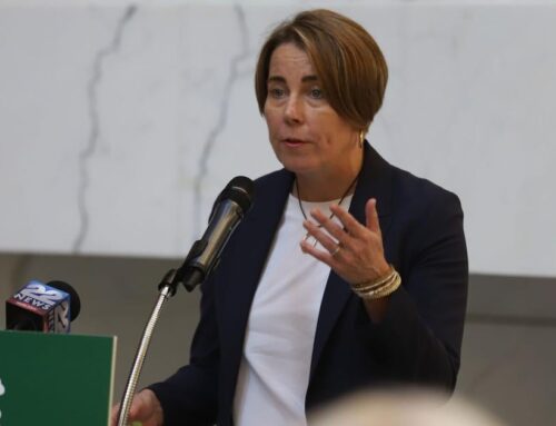 Healey environmental bond bill clears committee