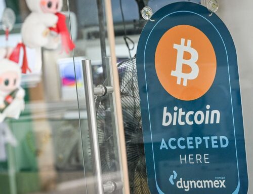 4 reasons why bitcoin is slogging through an epic plunge