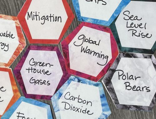 How Humans and the Environment Shape Our World