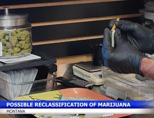 Trump administration’s cannabis reclassification could impact Montana