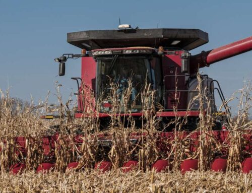 Corn’s clean-energy promise is clashing with its climate footprint